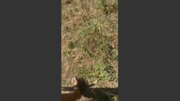 Zorro2024 20-07-2025 Recorded Video ass