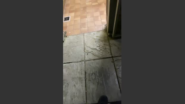 Outandabout 20-07-2025 Recorded Video big