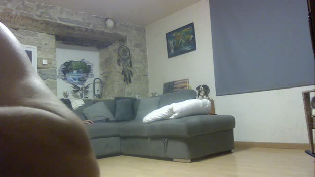 adameteve7