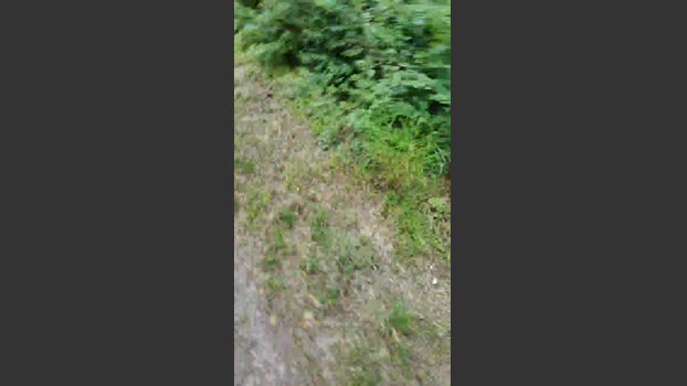 ichEnzian76 20-07-2025 Recorded Video analtoy