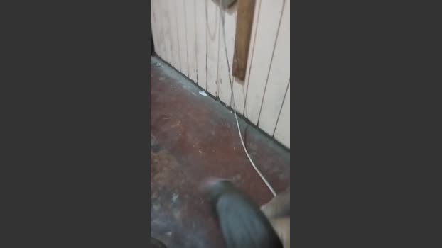 riky220 20-07-2025 Recorded Video toy