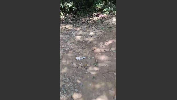 Aieloucura 22-07-2025 Recorded Video sexykitty