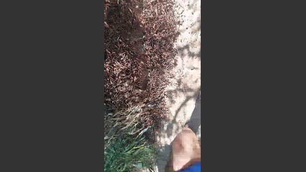 Horny_cruising 21-07-2025 Recorded Video suck