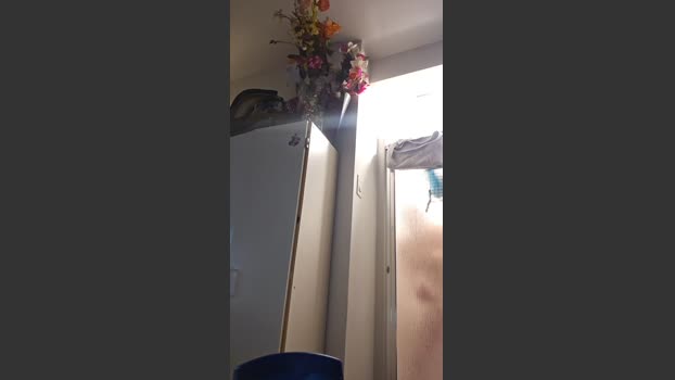 Xxxcamxxx69 23-07-2025 Recorded Video hard