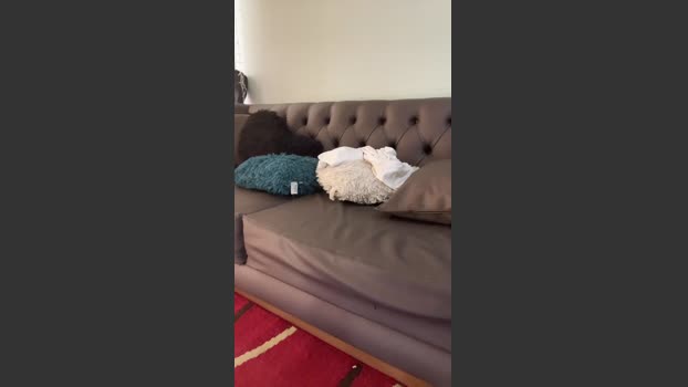 superkinghot 22-07-2025 Recorded Video lovense