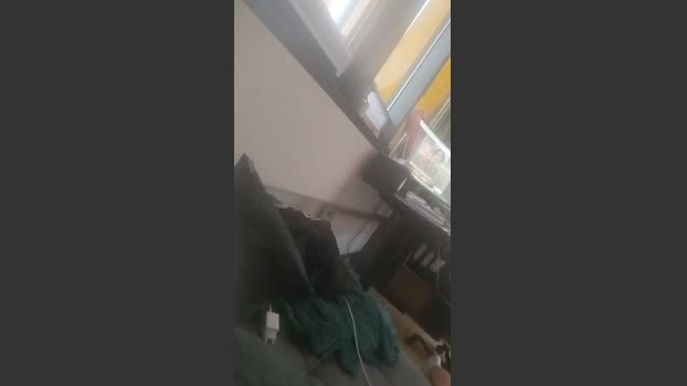 Maharajaaaaa 24-07-2025 Recorded Video strip