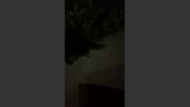 Outandabout 24-07-2025 Recorded Video hot