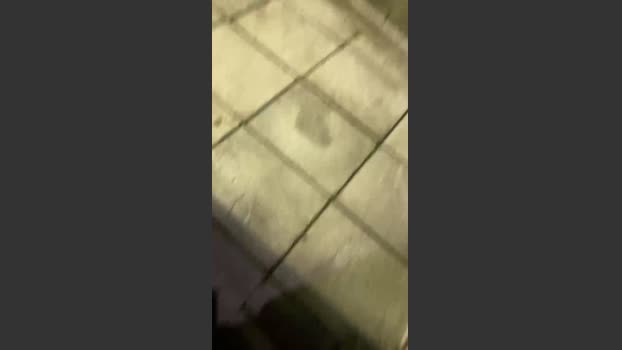 Outandabout 24-07-2025 Recorded Video XXX