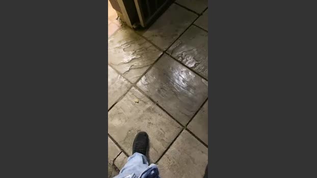 Outandabout 24-07-2025 Recorded Video fuckface