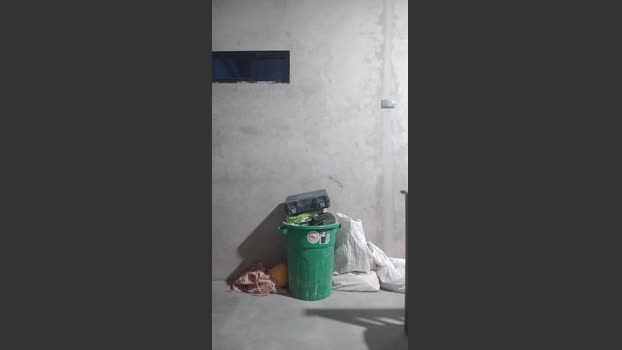 SegundoIves 25-07-2025 Recorded Video bigballs