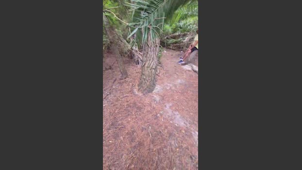 grx_22 25-07-2025 Recorded Video skinny