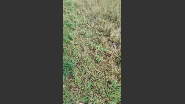 ichEnzian76 27-07-2025 Recorded Video bigcock