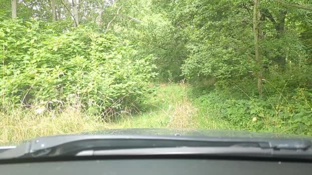 maglernen 27-07-2025 Recorded Video lovense