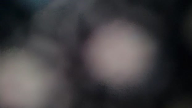 Beardedveteran 28-07-2025 Recorded Video Cam