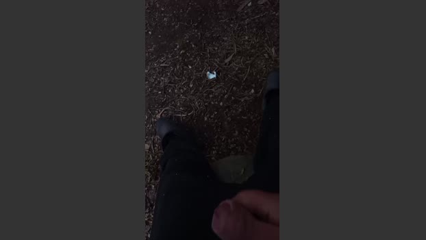 alex18894 28-07-2025 Recorded Video suck
