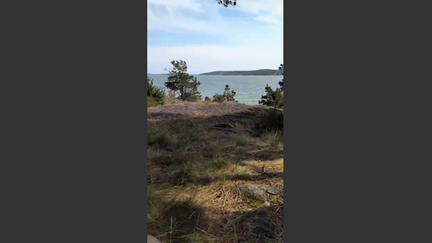 fuje 28-07-2025 Recorded Video beauty