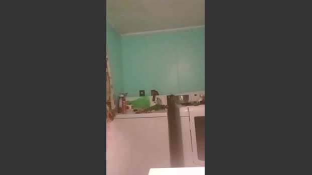 Littleguy25 29-07-2025 Recorded Video fuck