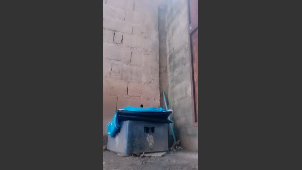 Papiyoungpig 29-07-2025 Recorded Video sexybody