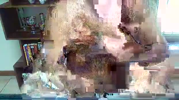 urkam4 29-07-2025 Recorded Video beauty