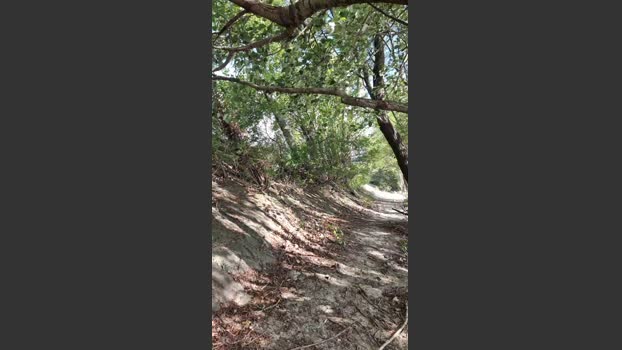 viraglaci18 28-07-2025 Recorded Video Download