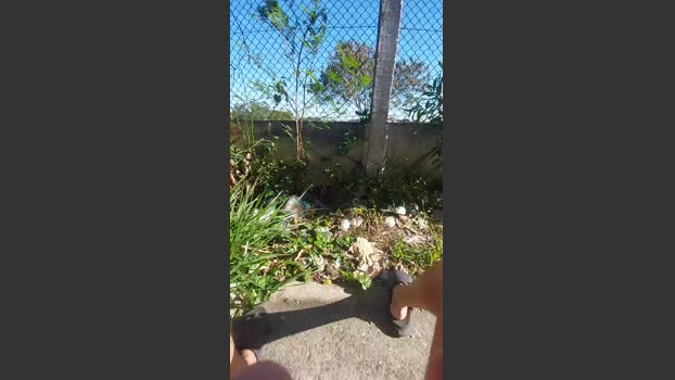 jao_magrao 29-07-2025 Recorded Video love