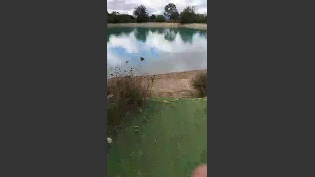 Gatinho_spain 30-07-2025 Recorded Video skinny