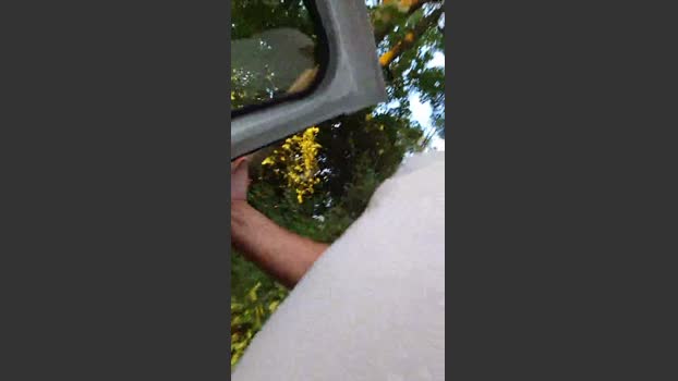 Socke72 30-07-2025 Recorded Video play
