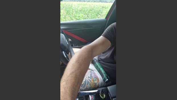 Wiesencoltx 31-07-2025 Recorded Video play