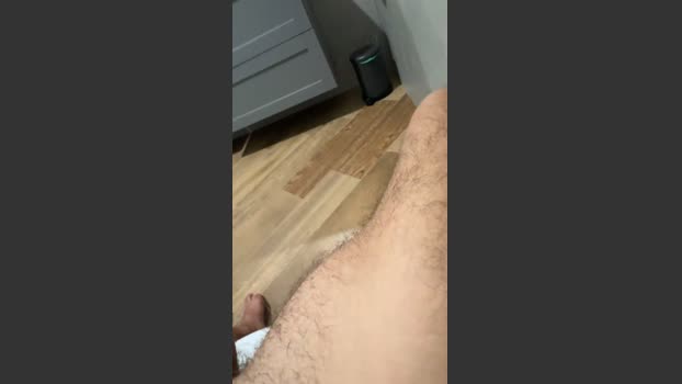 Zorro2024 31-07-2025 Recorded Video analtoy