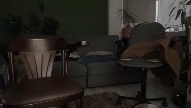 detero 31-07-2025 Recorded Video yummy