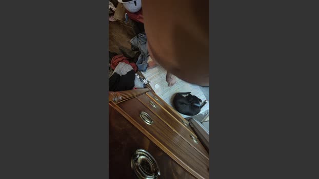 Beardedveteran 01-08-2025 Recorded Video naked