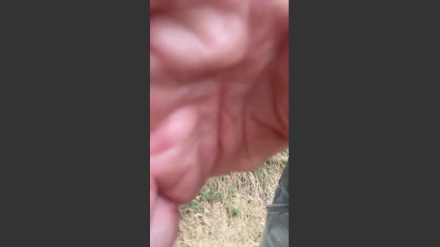 Nono42240 31-07-2025 Recorded Video jerkoff