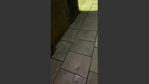 Outandabout 31-07-2025 Recorded Video sexybody