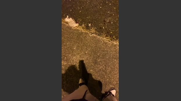 lucapublic 01-08-2025 Recorded Video blowjob