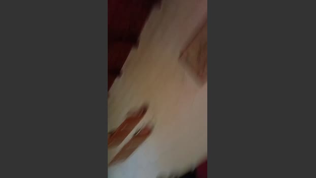 Carlitos12 02-08-2025 Recorded Video sexykitty
