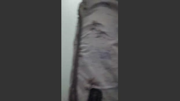 Lobao_Nervoso 02-08-2025 Recorded Video Download