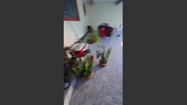 Lobao_Nervoso 02-08-2025 Recorded Video sweet