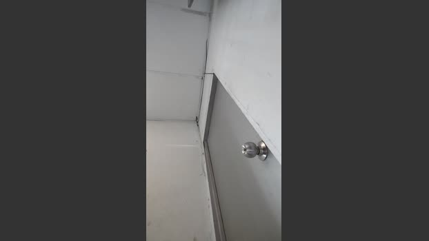 Papiyoungpig 01-08-2025 Recorded Video big