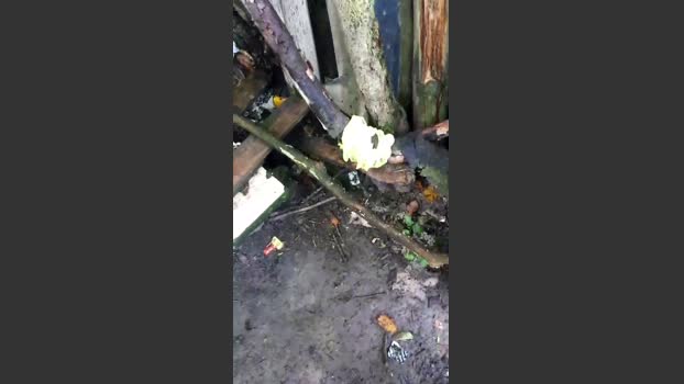 SaarlandBoy07 01-08-2025 Recorded Video prettyface