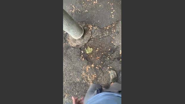 axelldani 02-08-2025 Recorded Video cute