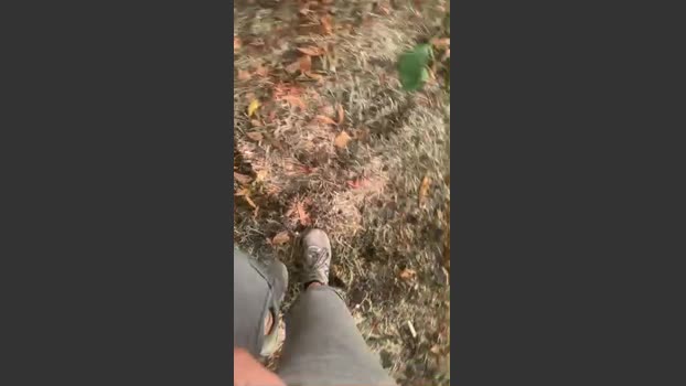 axelldani 02-08-2025 Recorded Video analtoy