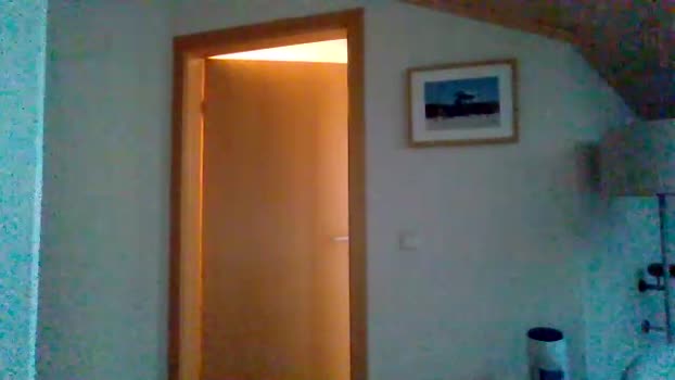 daniel6303 01-08-2025 Recorded Video Topless