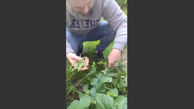 tomsauwer 01-08-2025 Recorded Video bigcock