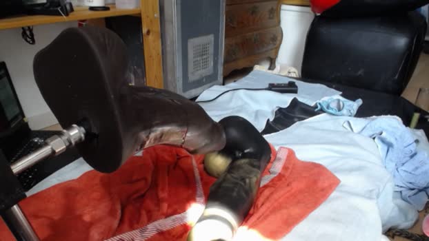 Kmsmxff 03-08-2025 Recorded Video blowjob