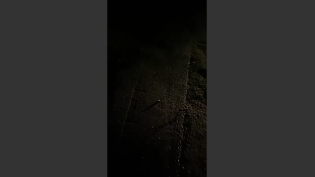 Outandabout 03-08-2025 Recorded Video juicy