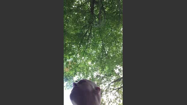 Socke72 03-08-2025 Recorded Video kink