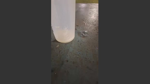 morenoaltoo3 03-08-2025 Recorded Video Ass
