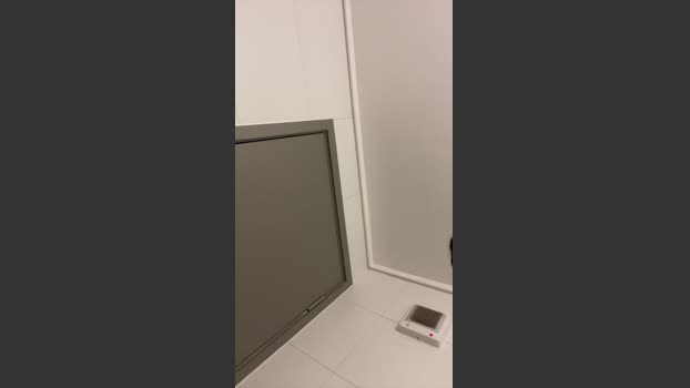 josefun77 04-08-2025 Recorded Video fuckface