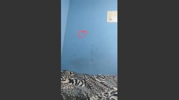 Alanzinho88 05-08-2025 Recorded Video nude