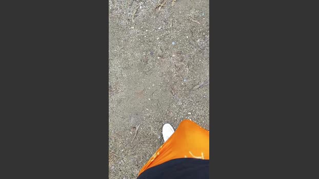 Black_spitpiss 05-08-2025 Recorded Video suckcock